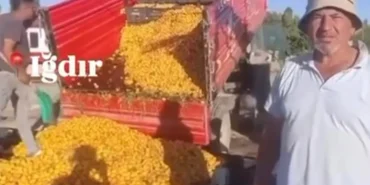 1 TL'lik kayısı paylaşımı 1,4 milyon TL cezaya patladı! Yanıltıcı paylaşıma milyon liralık ceza!